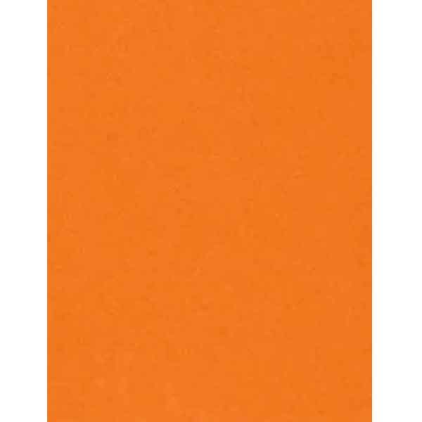Circus Peanuts Heavy Cardstock - 10 sheets